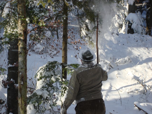 ../Images/Jagd 066.jpg